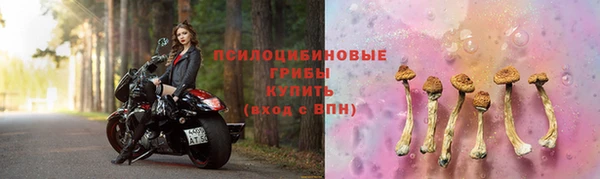 бошки Михайловск
