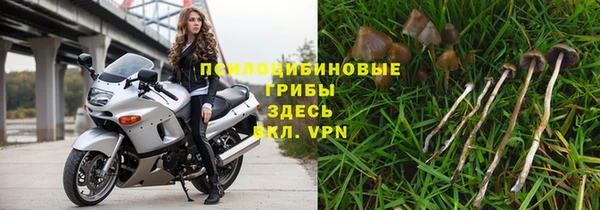 кокаин перу Михайлов