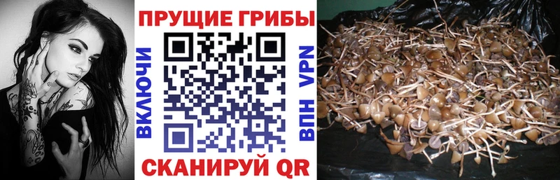 Галлюциногенные грибы ЛСД Тырныауз